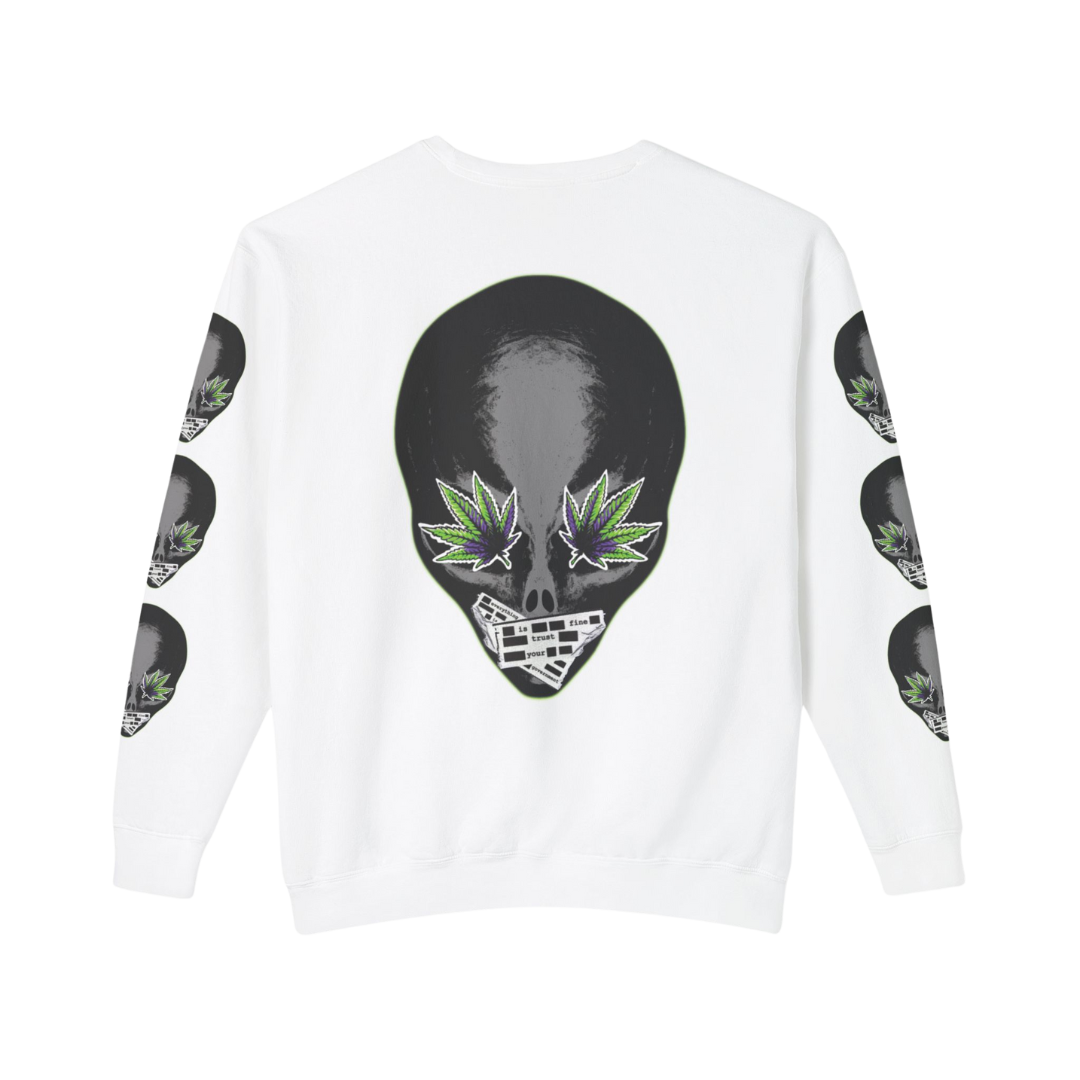 Highly Classified Alien Sleeve Sweatshirt